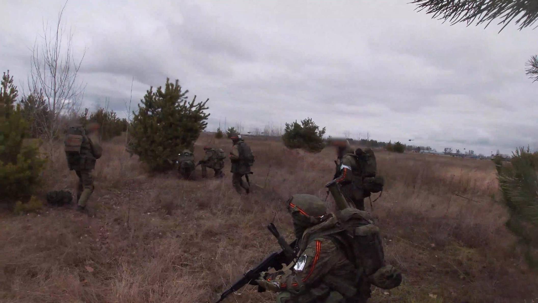 Вилењак Ћипета