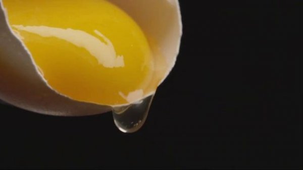 Four combiné vapeur - la garantie d'une cuisson parfaite - Verrines de petits pois à la va