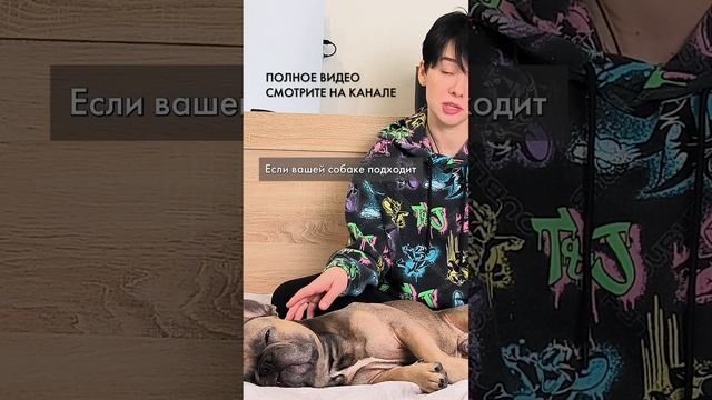 Как я кормлю своего французского бульдога #французскийбульдог #бульдог #сколькокормитьсобаку смотреть онлайн