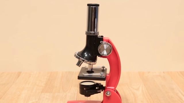 Scientific Explorer Newton Microscope 0SA402BL смотреть онлайн