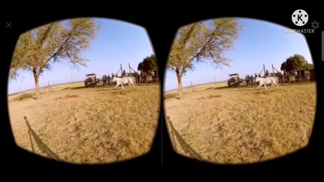 Samsung Gear VR vs VR Box | Virtual Reality | Konsa VR lain смотреть онлайн