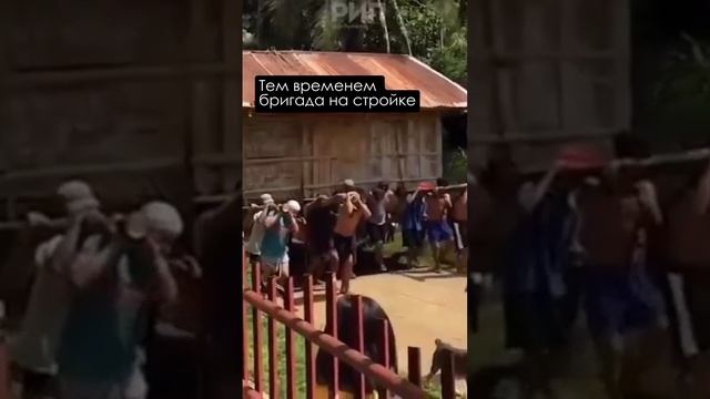 Связь проектировщика и бригады на стройке #shorts смотреть онлайн