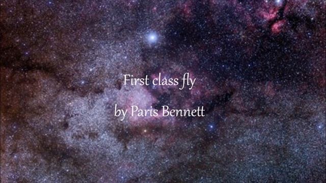 First class fly by Paris Bennett смотреть онлайн