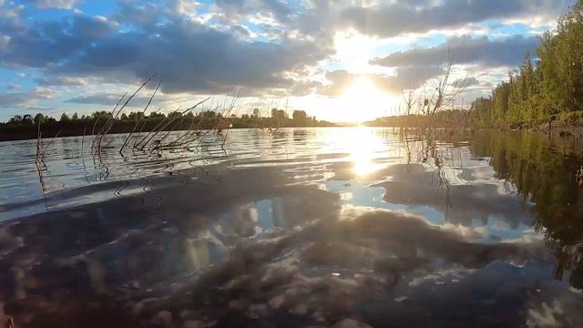 Рыбалка  на Томи 2024