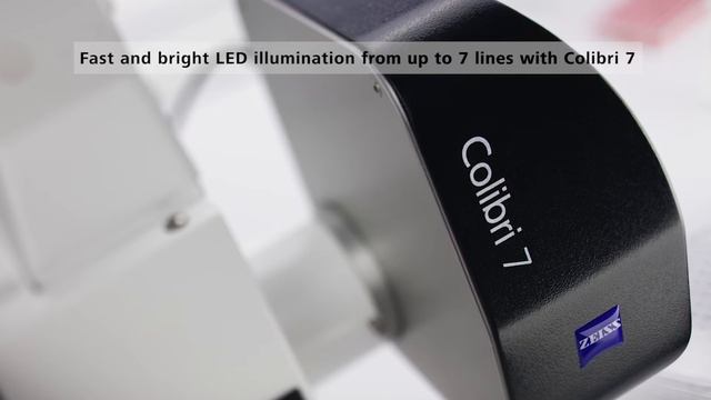 ZEISS Axio Observer: Your open and flexible inverted microscope platform смотреть онлайн