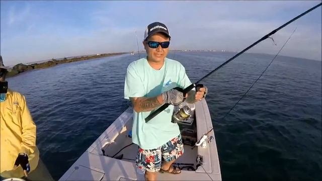 Shimano BIOMASTER And Redfish