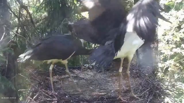 2021 08 20 14:58:58 the next last fish (from the nest ground) смотреть онлайн