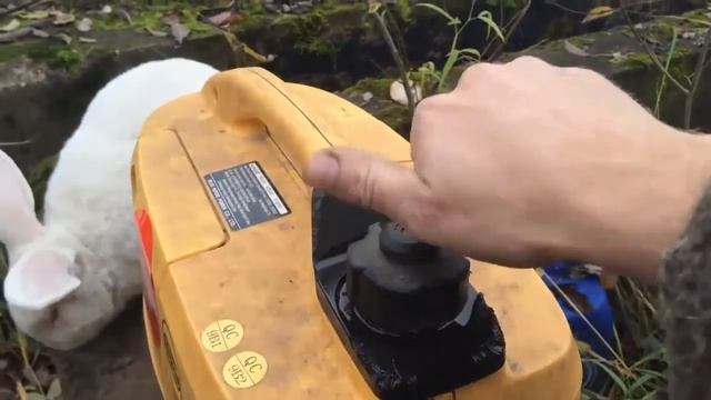 How to produce electricity in autumn and winter смотреть онлайн