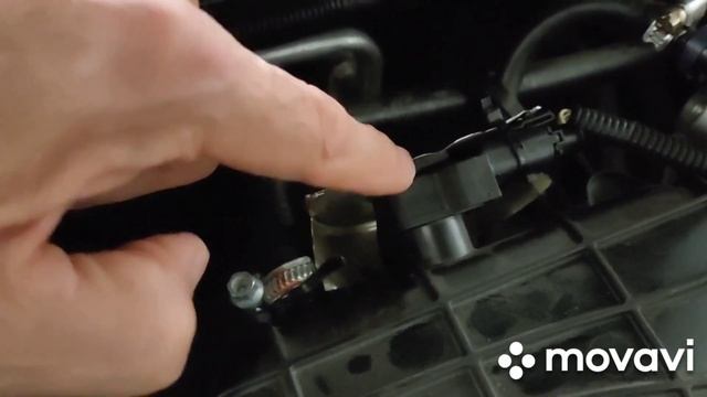 Термоэкран на ДАД.