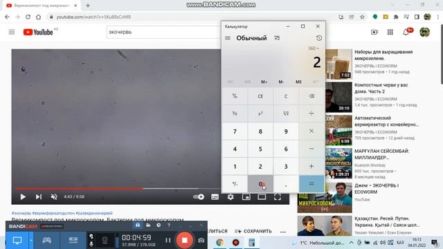 БИОГУМУСҚА МИКРОСКОППЕН ШОЛУ🔬ЖҰМЫРТҚА ІШІНДЕГІ 🪱МАЛЕКТАР ҚАНДАЙ? 🦠БАКТЕРИЯЛАР ҚАЛАЙ ЖҰМЫС ЖАСАЙДЫ? смотреть онлайн