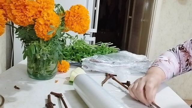 Заготовка и хранение черенков винограда. смотреть онлайн