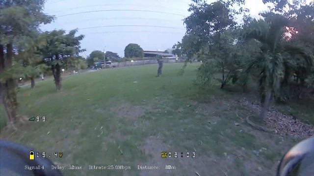 Skyzone Cobra X V2 + Walksnail VRX