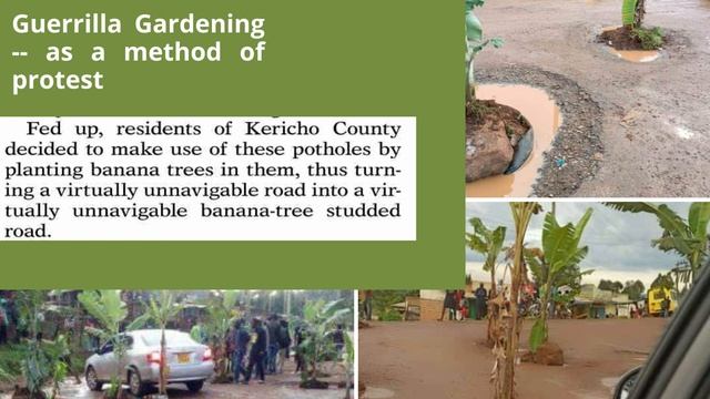 What is Guerrilla Gardening? смотреть онлайн