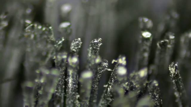 Zoom 1000x Benda Dirumah Dibawah Mikroskop