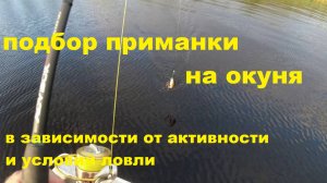 Подбор приманки на окуня в зависимости от условий и степеени его активности.