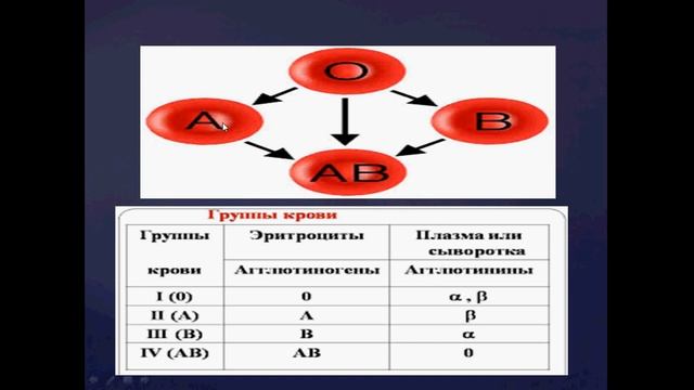 эритроциты смотреть онлайн