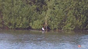 егерь 6.35  стрельба с рук !