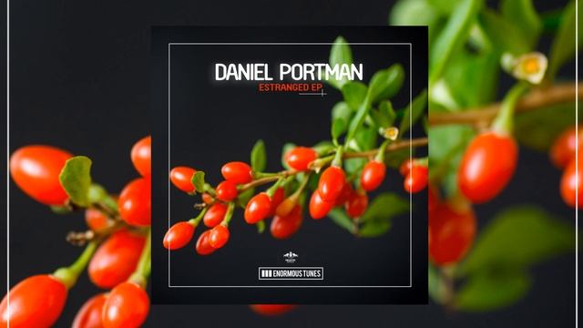 Daniel Portman - More Intensity смотреть онлайн
