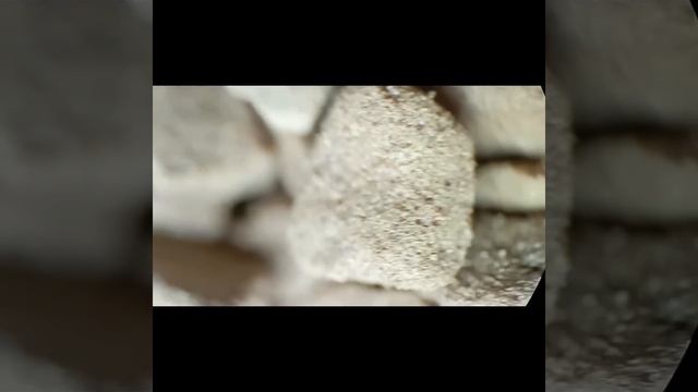 Вот Как Выглядит Растворимый Кофе Под Микроскопом #youtubevideo