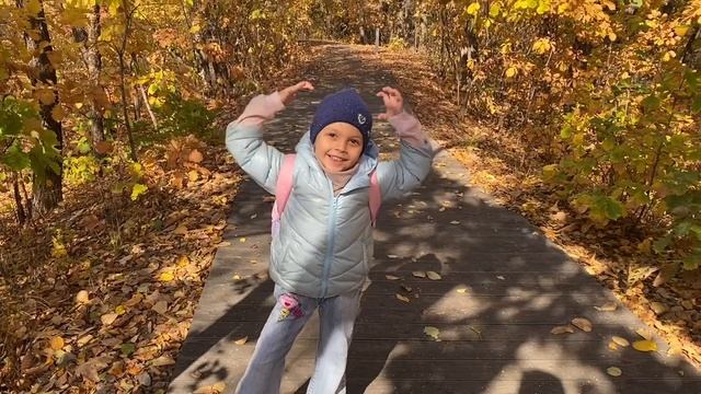 Осенний парк с белками смотреть онлайн