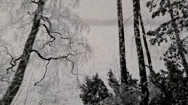 Eino Leino, Aleksis Kivi смотреть онлайн