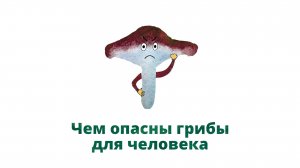 34. Чем опасны грибы для человека