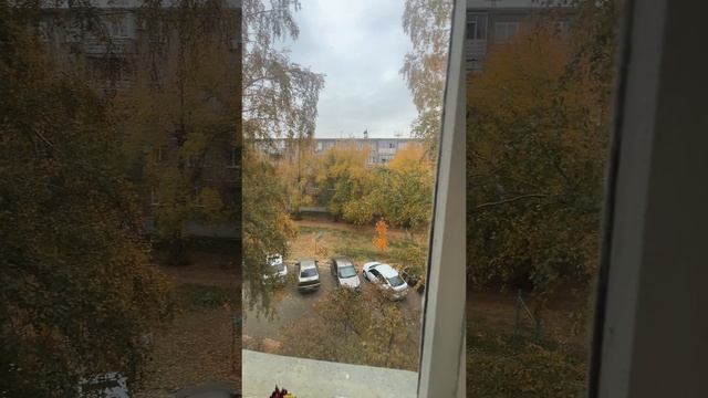 11525765 смотреть онлайн