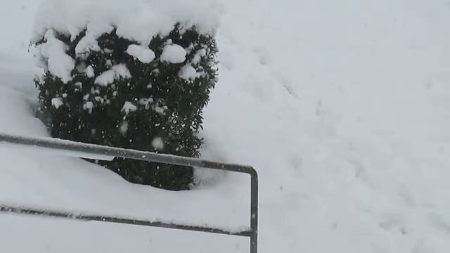 *WINTER .. (SUISSE) - GOMMISWALD..* смотреть онлайн