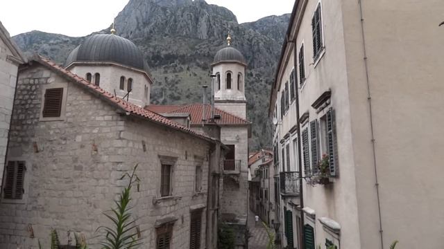 Viola Organista at the Kotor Art Festival, Montenegro. смотреть онлайн