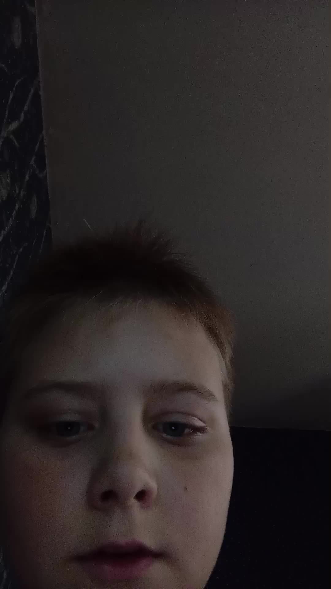 обзор на ролик арма