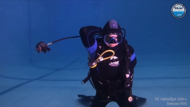 2020_09_04 - Экзамен OWD сборная посткарантинная солянка смотреть онлайн