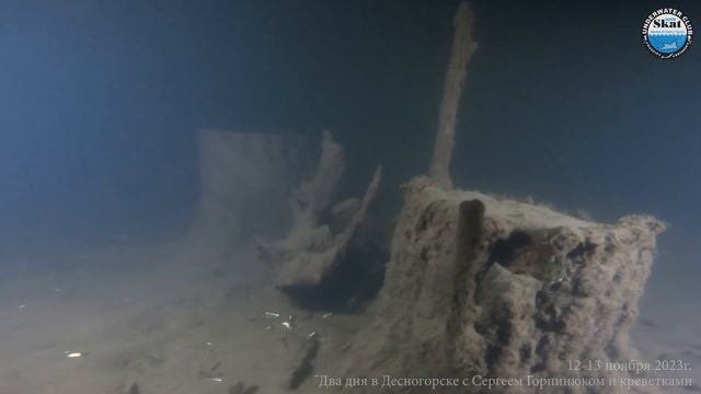 2023_11_12-13 - Два дня в Десногорске с Сергеем Горпинюком и креветками смотреть онлайн