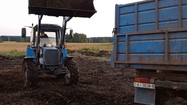 Погрузка органики МТЗ-82П с TURS-1500 на самосвал ГАЗ 3309. смотреть онлайн