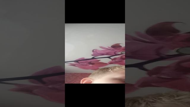 смотр ящика