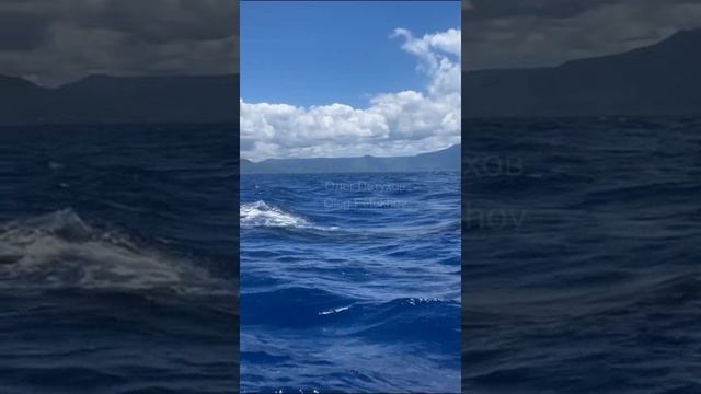 Маврикий. Mauritius. 毛里求斯。 смотреть онлайн