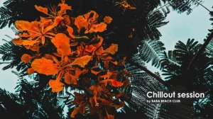 Chillout session | Salty sun edition #lounge