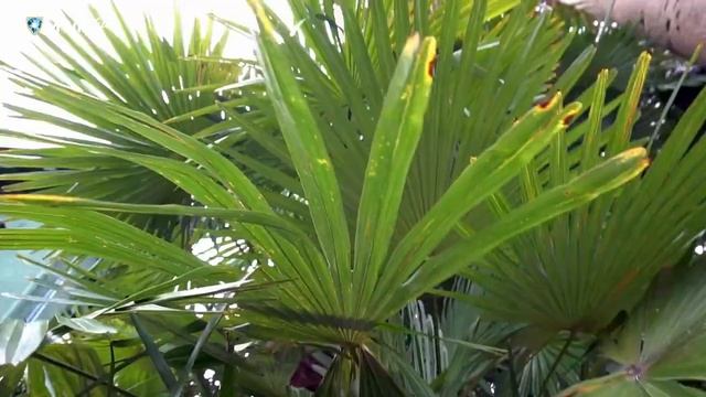 MWR Life Sochi Life Experience®