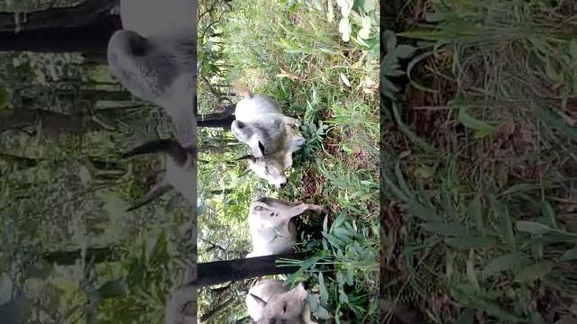 15 octobre 2020 смотреть онлайн