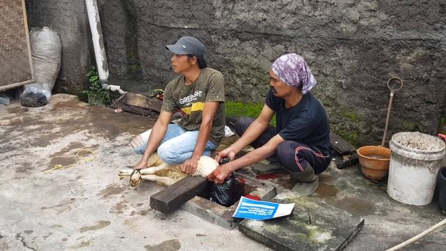 PEMOTONGAN DOMBA AQIQAH AN AL-FATAH BRATAWIJAYA NUR RAGASUKMA - PONDOK AQIQAH GARUT смотреть онлайн