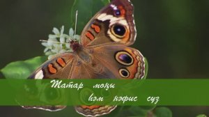 Кубэлэгем. Татар халык кое.