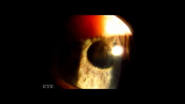 Светлое вдоль