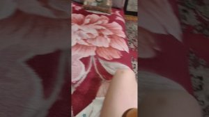 играем в говорящий кактус у бабушки в гостях