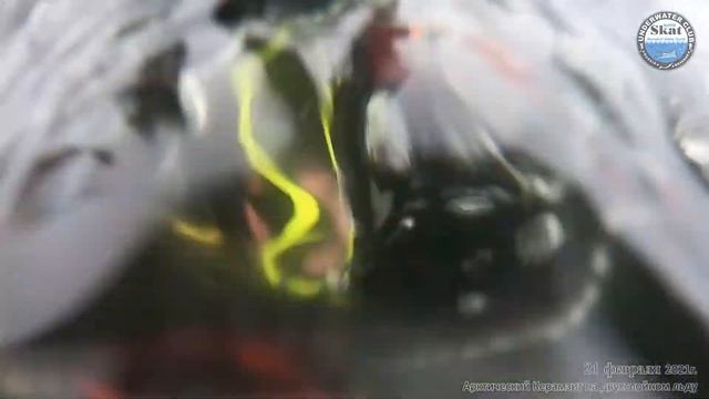 2021_02_21 - Арктический Керамзит на двухслойном льду смотреть онлайн