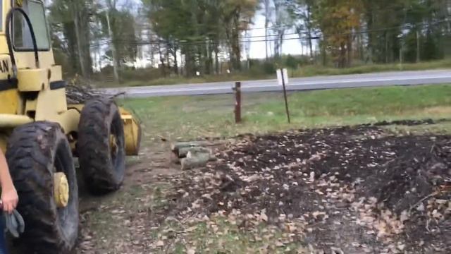 2017-10-15 SVOF Cut Down Some Trees with help from Friends смотреть онлайн