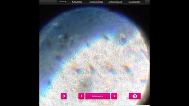 Mikroskop + Kamerka Internetowa + Taśma