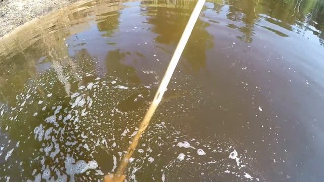 ЗАШЕЛ В ВОДУ И ОФИГЕЛ ОТ НАЙДЕННОГО!!! КОП ЛОМА В ЛЕСНОМ БОЛОТЕ. смотреть онлайн