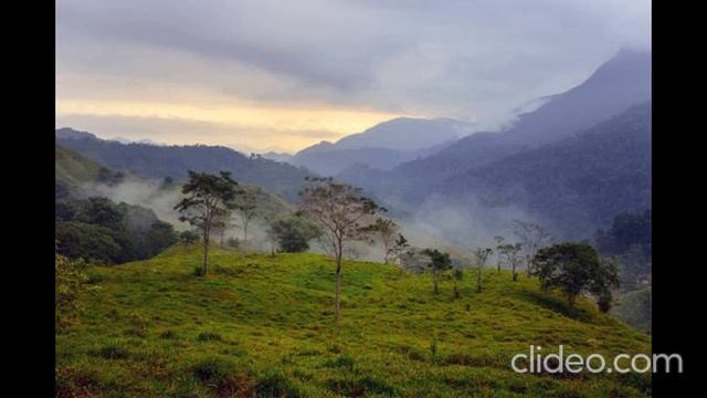 MENSAJE A LA JUVENTUD RITMO MERENGUE AUTOR ROIG BARRERA GUITARRAS Y ARREGLOS LEONARDO LEO SALCEDO смотреть онлайн