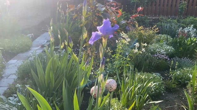 Cottage Garden Tour/May