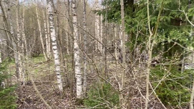 Участок в Сертолово | 8 сот смотреть онлайн