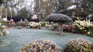 Осень в саду 25.09.24